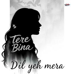 Tere Bina Dil Yeh Mera