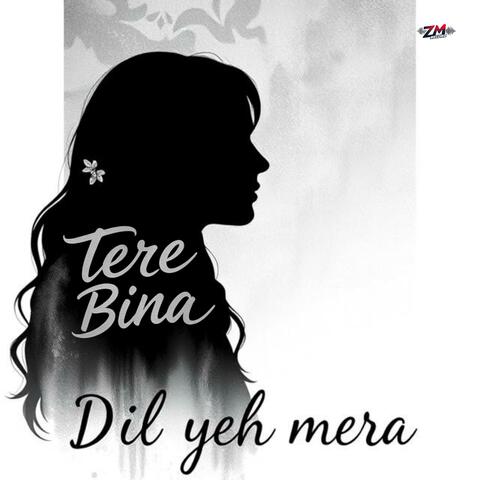 Tere Bina Dil Yeh Mera