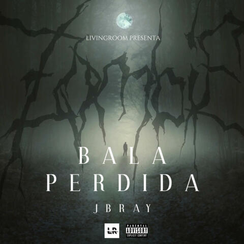 BALA PERDIDA JBRAY