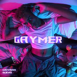 GAYMER