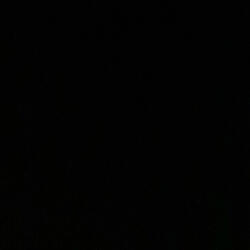 Cantletshitslide (feat. Easty1213)