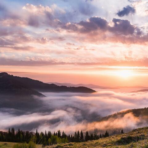 Silent Horizon