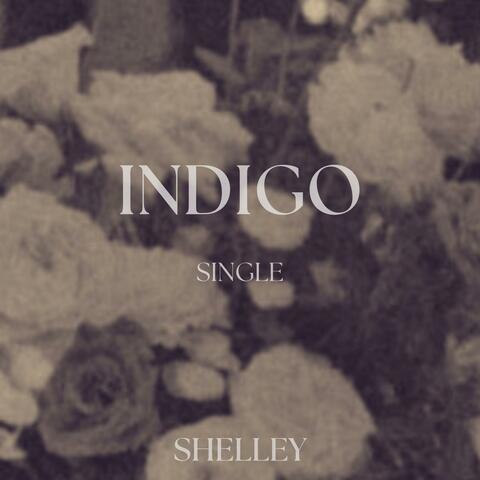 Indigo (feat. Landon Luke)