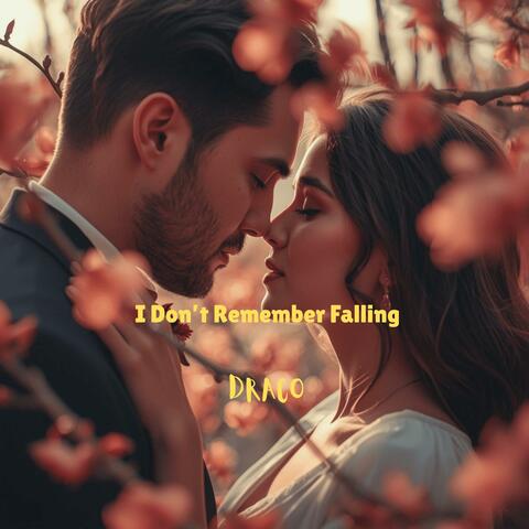 I Don’t Remember Falling