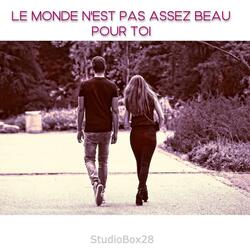 Le monde n'est pas assez beau pour toi