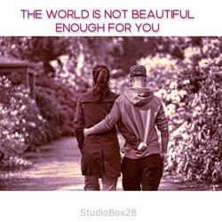 The World Is Not Beautiful Enough for You (Radio Edit)
