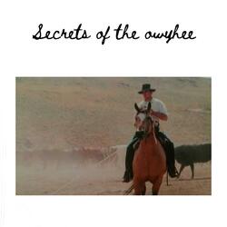 Secrets of the owyhee