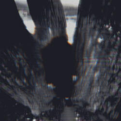 REVIVE (feat. KWXZZ)