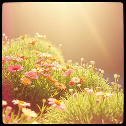 祝福自己 也祝福你 (不论世界多匆忙  偶尔都会想起你)