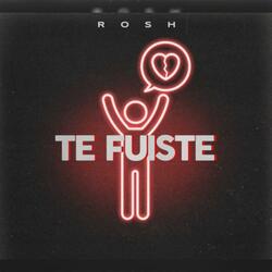 Te Fuiste