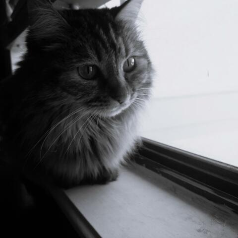 Back to Black and White