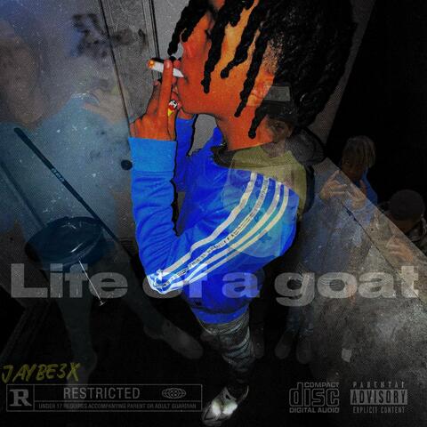 Life of a goat