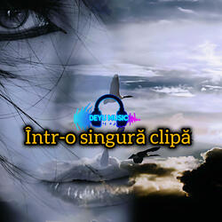 Într-o singură clipă