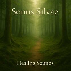 Sonus Silvae