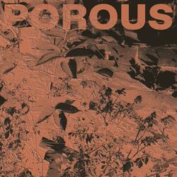 Porous (feat. Soozi Chameleone)
