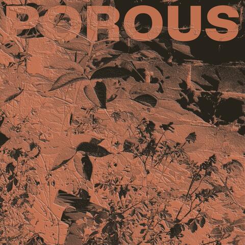 Porous (feat. Soozi Chameleone)