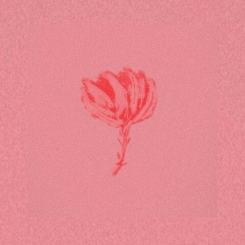 La vie en rose (ke kiere' ke te diga)