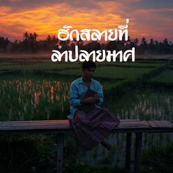 ฮักสลายที่ลำปลายมาศ