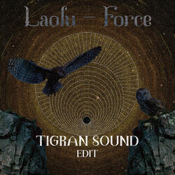 Force (Tigran Sound Edit)