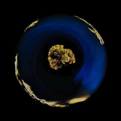 Gold (feat. Patrick Murphy)