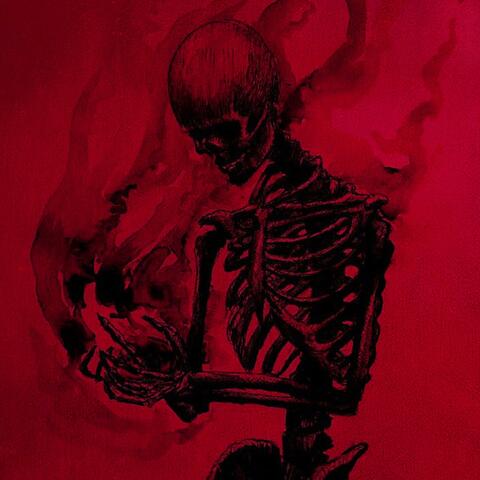 DON'T FLY INTO THE SUN