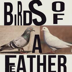 Birds Of A Feather