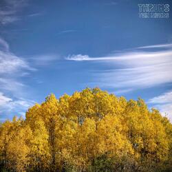 Vast Spaces (Reprieve)