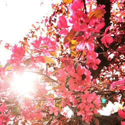 ¿Dónde Nace el Amor