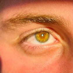 Golden Eyes