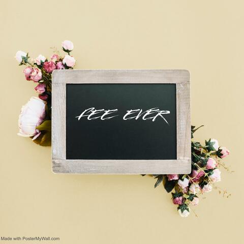 FEE EVER