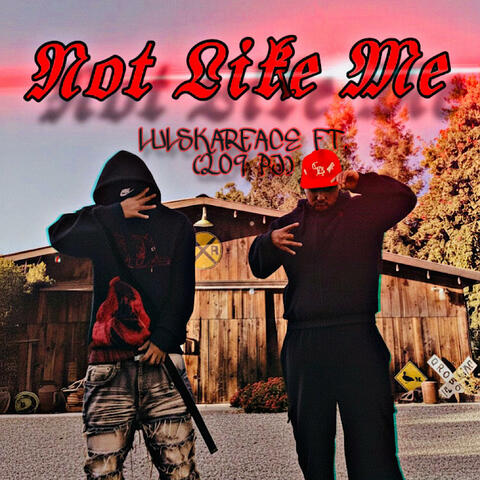 Not Like Me (feat. LulSkarFace)