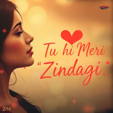 Tu Hi Meri Zindagi