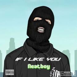 IF I LIKE YOU