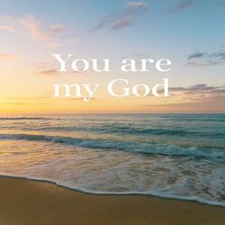 O Lord God, You are my God