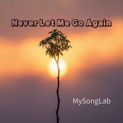 Never Let Me Go Again