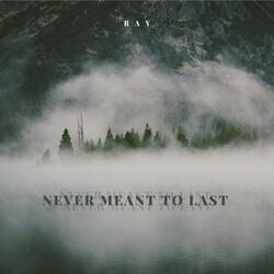 NEVER MEANT TO LAST