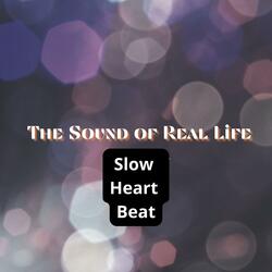 I did more than i could