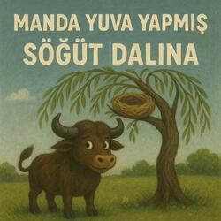 Senfonik Türküler - Manda Yuva Yapmış Söğüt Dalına