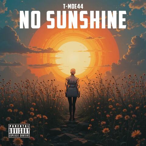 No Sunshine