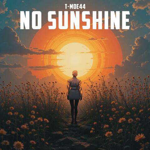 No Sunshine