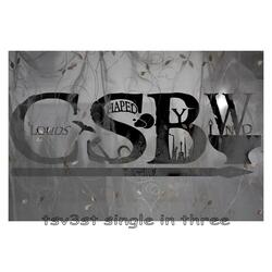 ts3st-single in three