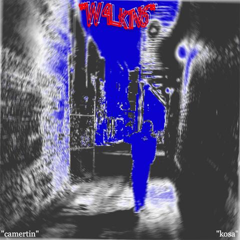 W4LK1N6 (feat. Camertin)