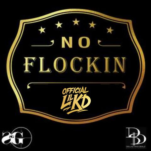 No Flockin (Remix)