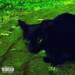 NOWHERE 2 GO (feat. ned!)