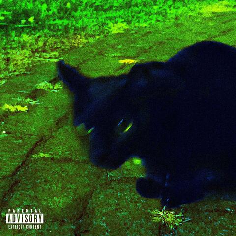 NOWHERE 2 GO (feat. ned!)