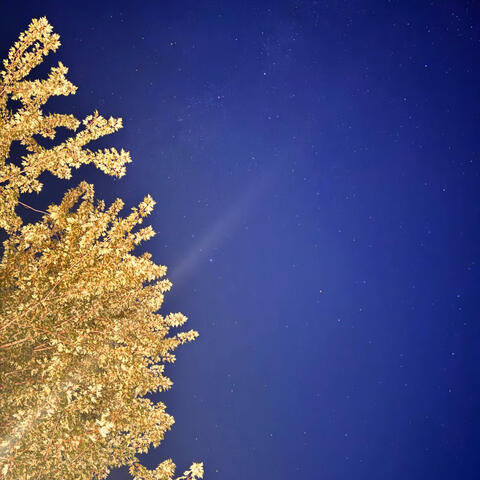 Laying With No Heart