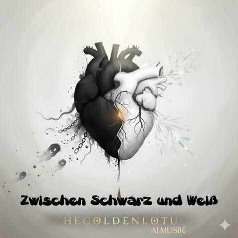 Zwischen Schwarz und Weiß