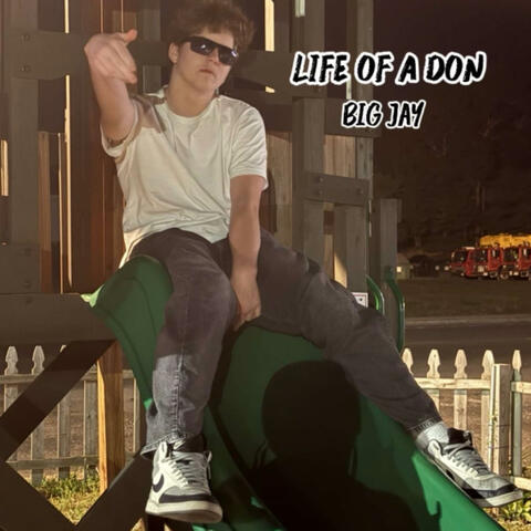 life of a don (Single Pack)