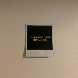 If Its The Last Thing I Do