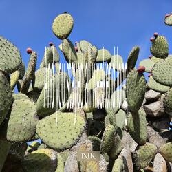 And you stayed all weekend long